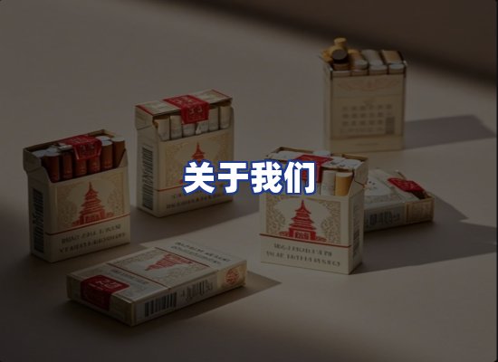 专业团队